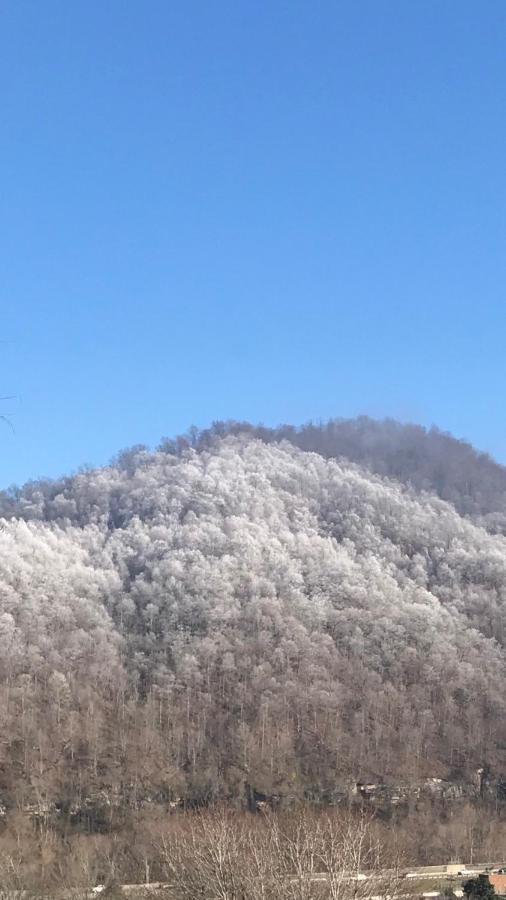 Pine Mountain Inn Pineville 外观 照片