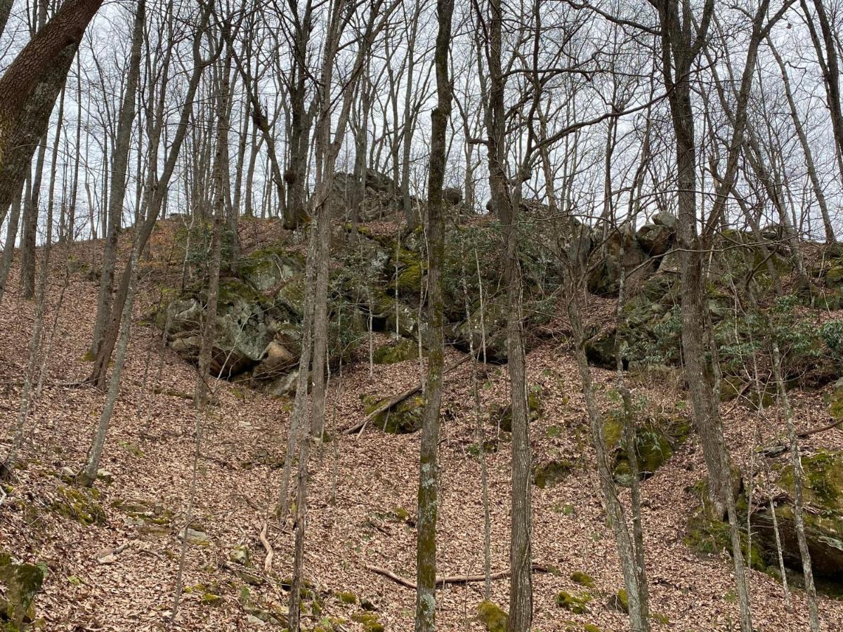 Pine Mountain Inn Pineville 外观 照片