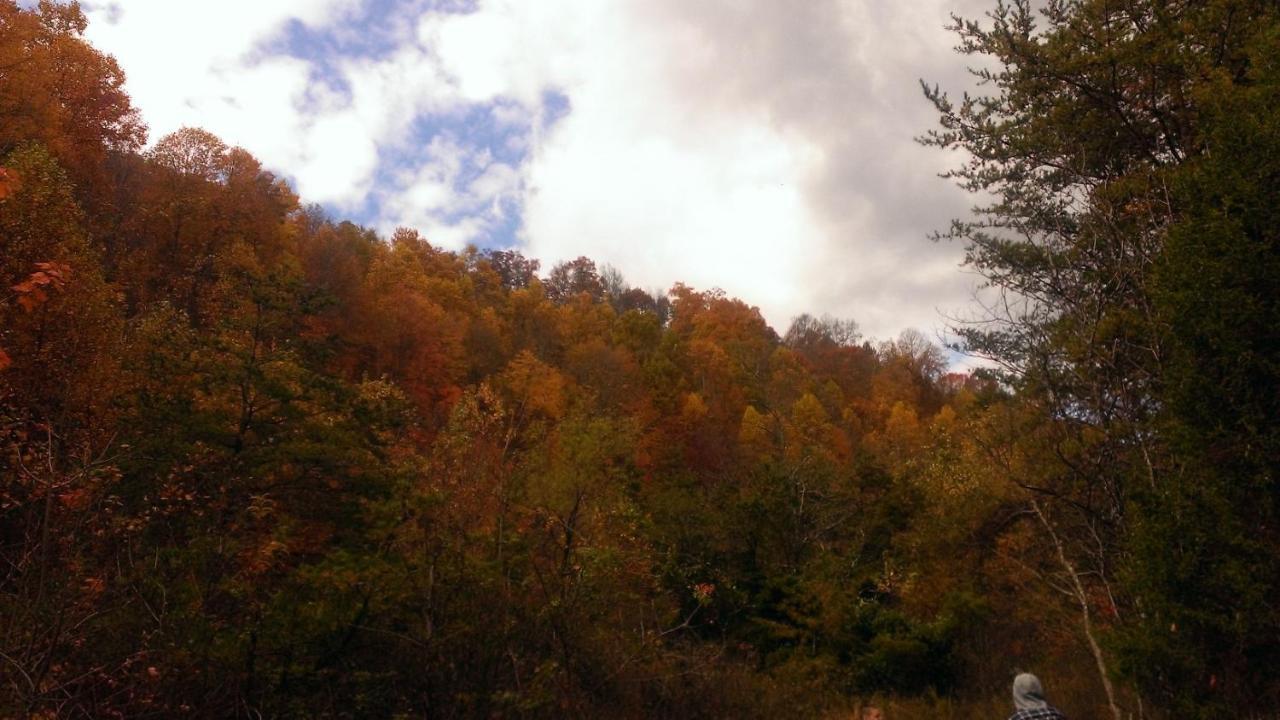 Pine Mountain Inn Pineville 外观 照片