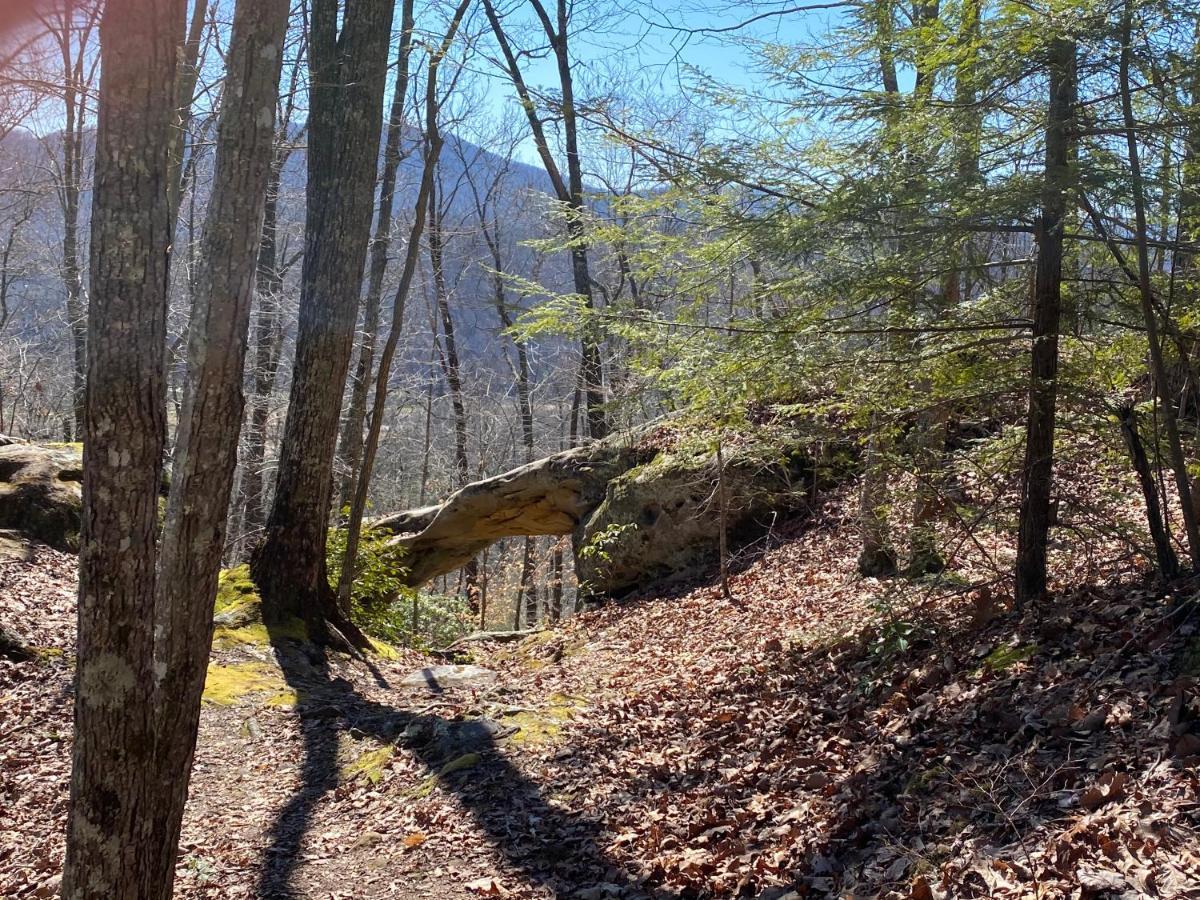 Pine Mountain Inn Pineville 外观 照片